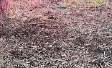 BUEN SECTOR SITIO ERIAZO, CON LUZ Y AGUA