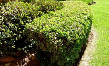 HERMOSO DEPARTAMENTO DE UN DORMITORIO