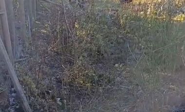 HERMOSA PARCELA EL SALTO PICHEDEHUA