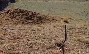 HERMOSA PARCELA EL SALTO PICHEDEHUA