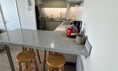 Departamento en Arriendo en Calle Puerto Montt 1641