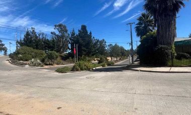 Casa en arriendo en ALGARROBO