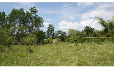 LOTE EN VENTA EN EL TIGRE CERRITOS