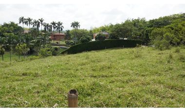 LOTE EN VENTA EN EL TIGRE CERRITOS