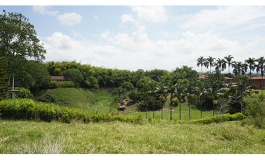 LOTE EN VENTA EN EL TIGRE CERRITOS