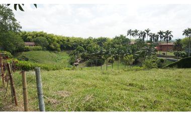 LOTE EN VENTA EN EL TIGRE CERRITOS