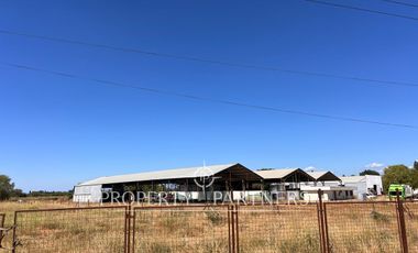 Terreno con galpon industrial frente a ruta 5 sur