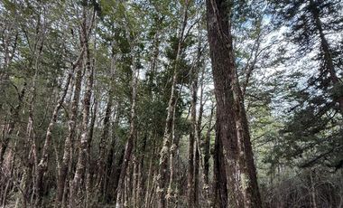 EN VENTA CASA CON ORILLA DE RIO, VIVE PATAGONIA