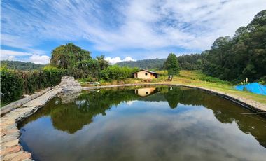 RENTA DE CASA EN SAN SIMON