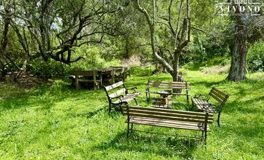 Chacra en venta con 2 casas