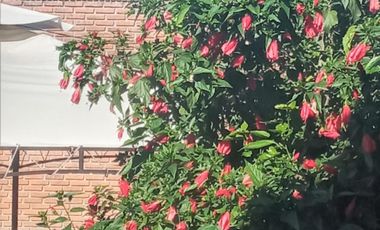 Chalet en venta de 6 ambientes  con jardín, piscina y cochera