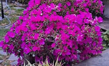 Chalet en venta de 6 ambientes  con jardín, piscina y cochera