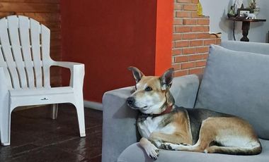 Chalet en venta de 6 ambientes  con jardín, piscina y cochera