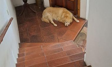 Chalet en venta de 6 ambientes  con jardín, piscina y cochera