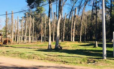 Terreno en  loma verde