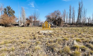 Taller, oficinas y casa en lote de 4000 m2 - Parque Industrial - Cipolletti