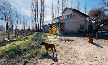 Taller, oficinas y casa en lote de 4000 m2 - Parque Industrial - Cipolletti
