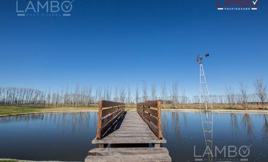 VENTA CHACRA CHACRAS DE LA ALAMEDA CARMEN DE ARECO