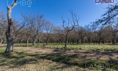 VENTA CHACRA CHACRAS DE LA ALAMEDA CARMEN DE ARECO
