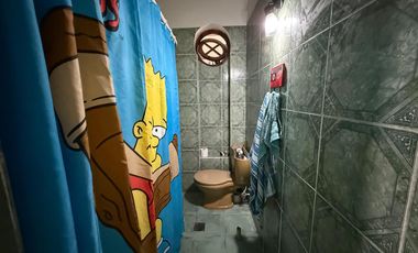 Propiedad a la venta ph y local comercial en Wilde