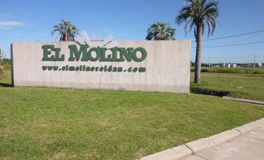 Terreno en El Molino Roldán
