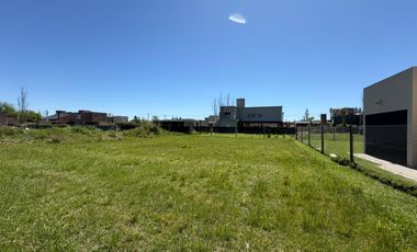 Terreno en El Molino Roldán