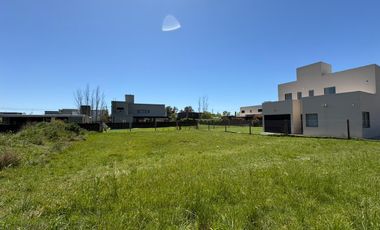 Terreno en El Molino Roldán