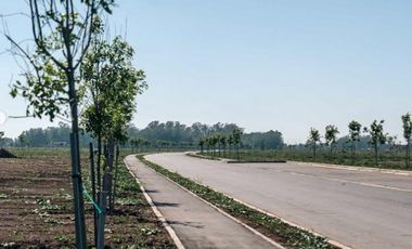 Terreno en Vida Jardín Funes