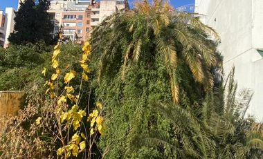 Terreno en  Nueva Cba, Zona Parque de Las Tejas, Desarrolismo