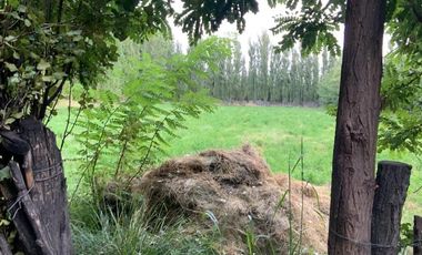 Vende Chacra 4 Hectareas en Senillosa