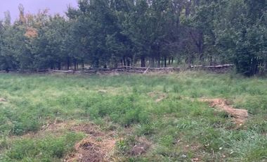 Vende Chacra 4 Hectareas en Senillosa