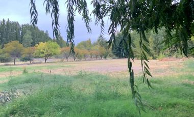 Vende Chacra 4 Hectareas en Senillosa