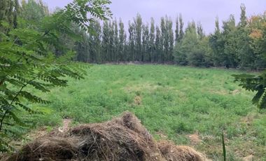 Vende Chacra 4 Hectareas en Senillosa