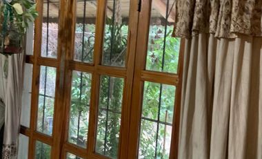 Vende Chacra 4 Hectareas en Senillosa