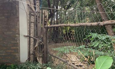 Vende Chacra 4 Hectareas en Senillosa