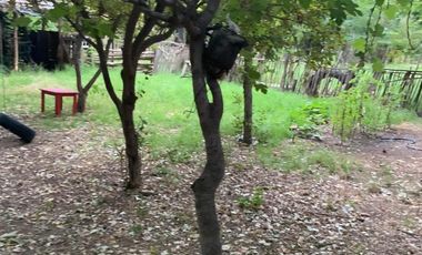 Vende Chacra 4 Hectareas en Senillosa