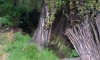 Vende Chacra 4 Hectareas en Senillosa