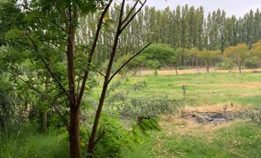 Vende Chacra 4 Hectareas en Senillosa