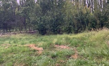 Vende Chacra 4 Hectareas en Senillosa