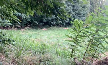 Vende Chacra 4 Hectareas en Senillosa