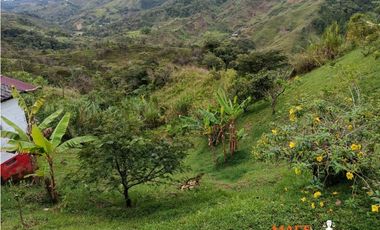 Finca en Venta – Santo Domingo, Antioquia