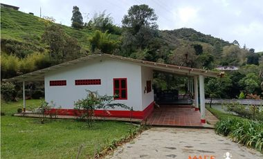 Finca en Venta – Santo Domingo, Antioquia