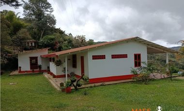 Finca en Venta – Santo Domingo, Antioquia
