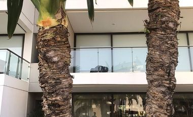 DEPARTAMENTO EN LA MARINA PUERTO VALLARTA LISTO PARA ENTREGA! | NB