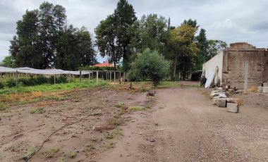 FINCA EN RIVADAVIA