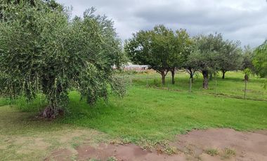FINCA EN RIVADAVIA