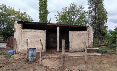 FINCA EN RIVADAVIA
