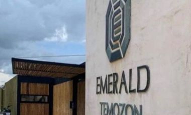 Depto Amueblado en Renta  en Emerald Temozón