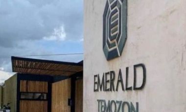 Depto Amueblado en Renta  en Emerald Temozón