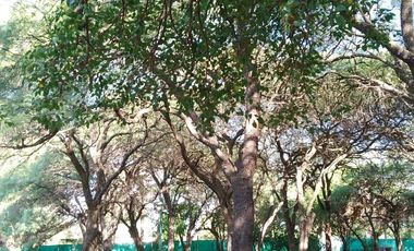 Casa en Alquiler, 2 Dormitorios, Villa Allende Golf